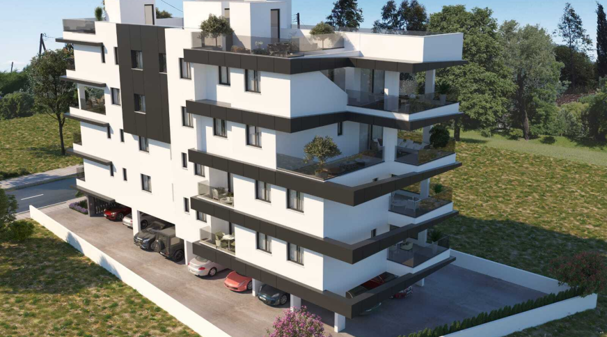 section catalog photo